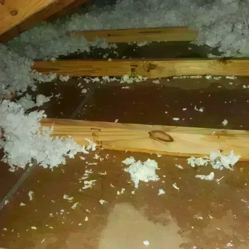 Attic Water Damage in Spencer, OK