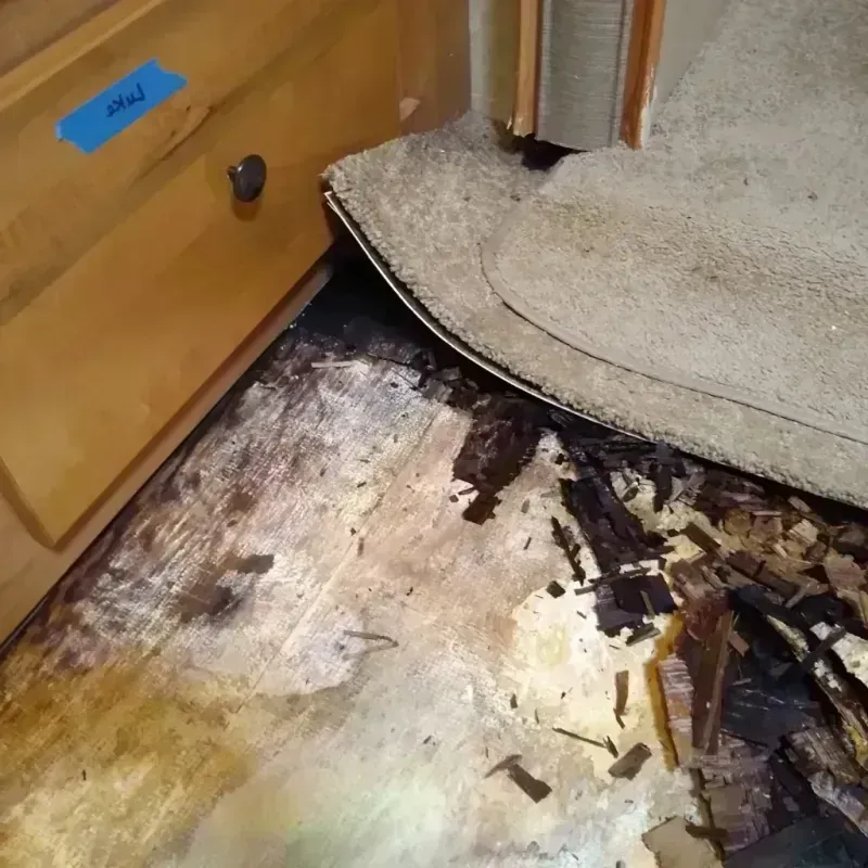 Wood Floor Water Damage in Spencer, OK